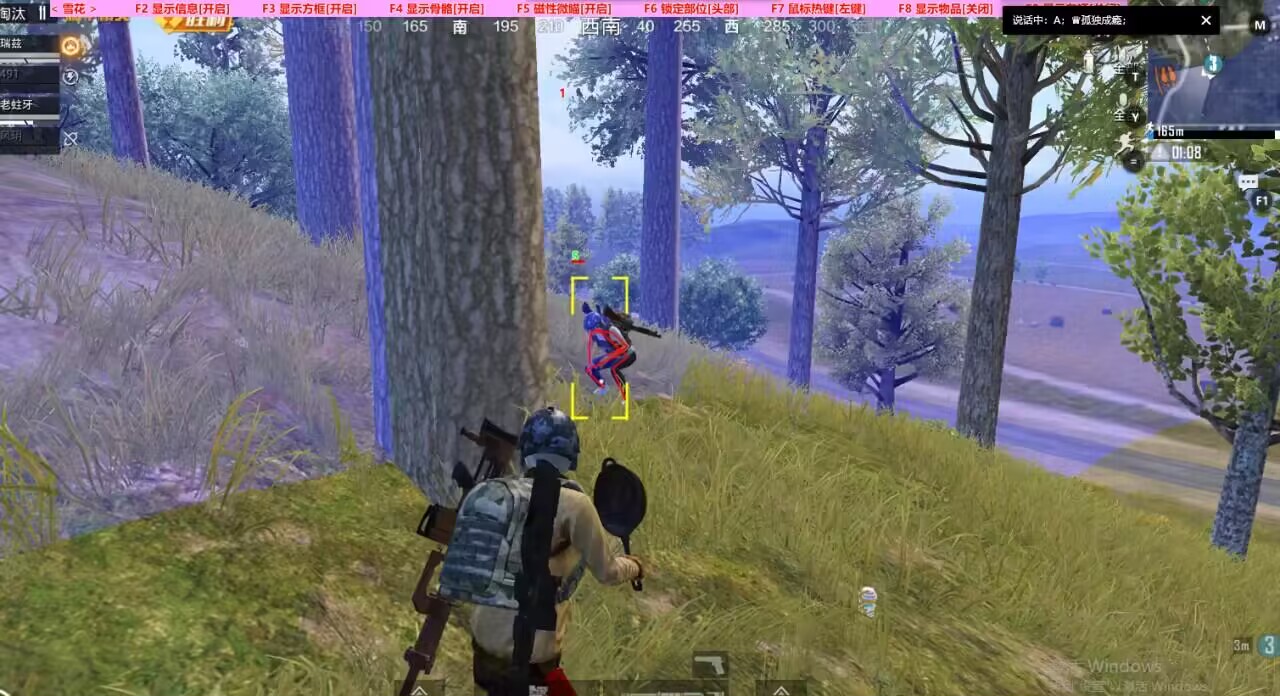 和平精英辅助【神女】